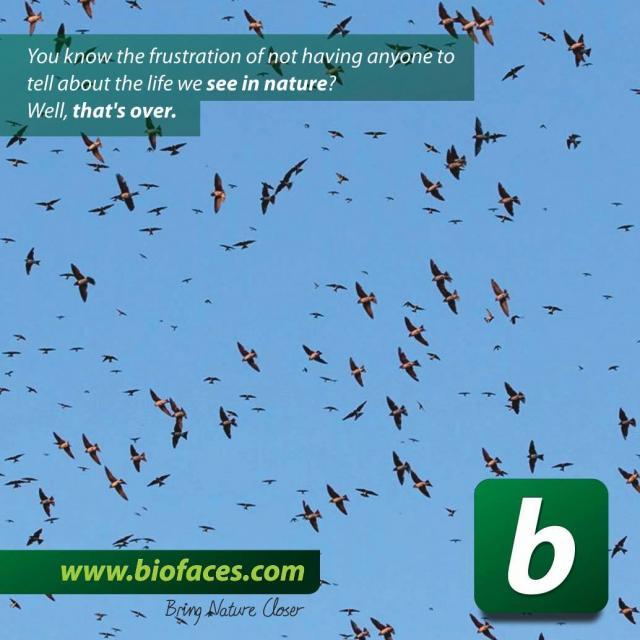 Biofaces - Bring Nature Closer